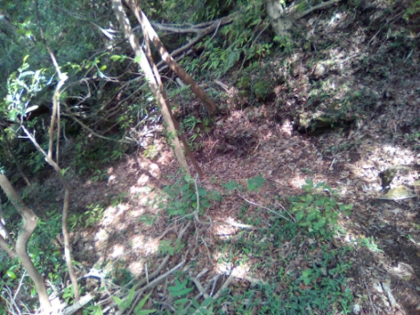 画像14